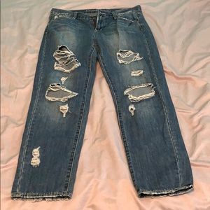 Articles of Society (28)